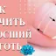 Ортониксия Ортониксия
